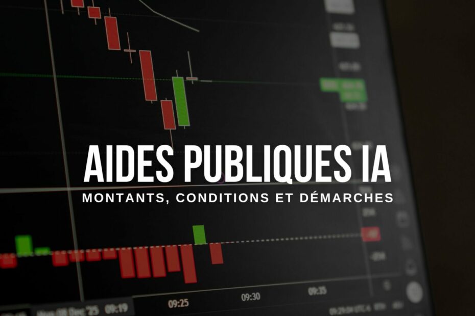 aides publiques ia