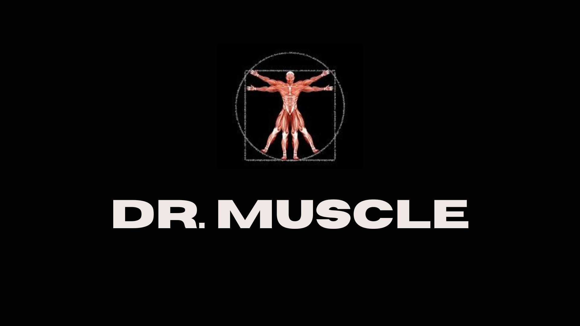 Dr. Muscle : musculation scientifique avec ajustement IA set par set