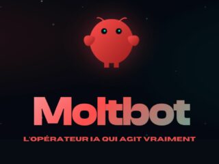 moltbot moltbot