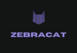 Zebracat : produisez vos vidéos marketing 10x plus vite grâce à l&rsquo;IA