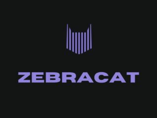 zebracat